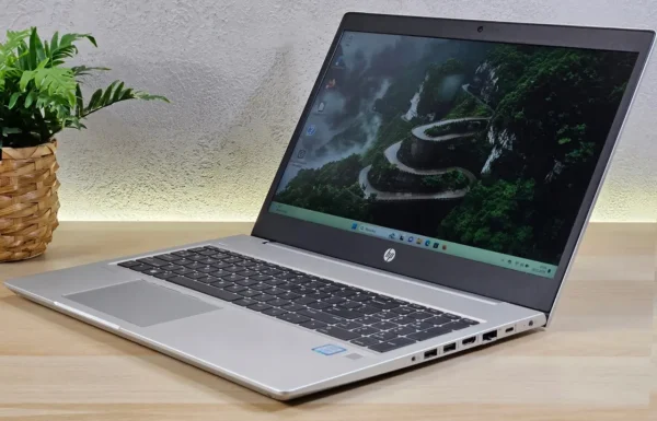 HP ProBook 450 G6 i5-8265U/16GB/512GB/Win11Pro FHD